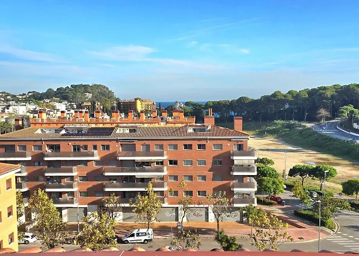 Sol Go2lloret *